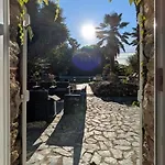 Exklusivitaet Korsika- Steinhaus Mit Charme By Interhome Santa-Lucia-di-Moriani